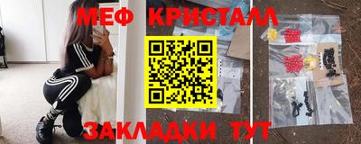 прущие грибы Гатчина