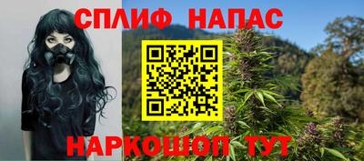 прущие грибы Гатчина