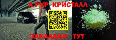 прущие грибы Гатчина