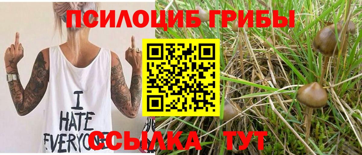 Галлюциногенные грибы прущие грибы Новоалександровск